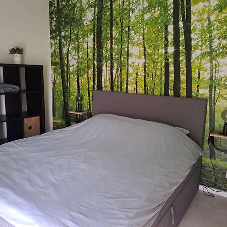 Ons Huusie Villa Noord-Sleen Dış mekan fotoğraf